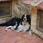 Bauernhof A Casa Del Tosi *