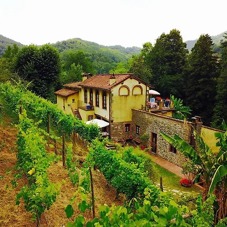 A Casa Del Tosi Лукка