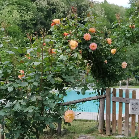 A Casa Del Tosi Фермерский дом Лукка